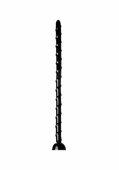 AF531_1.jpg