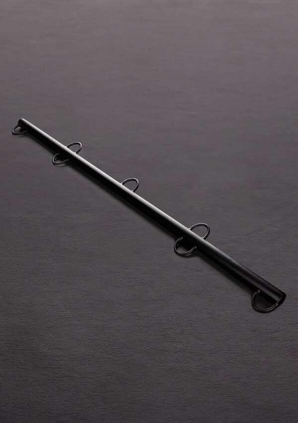 Tms 0308 1.jpg