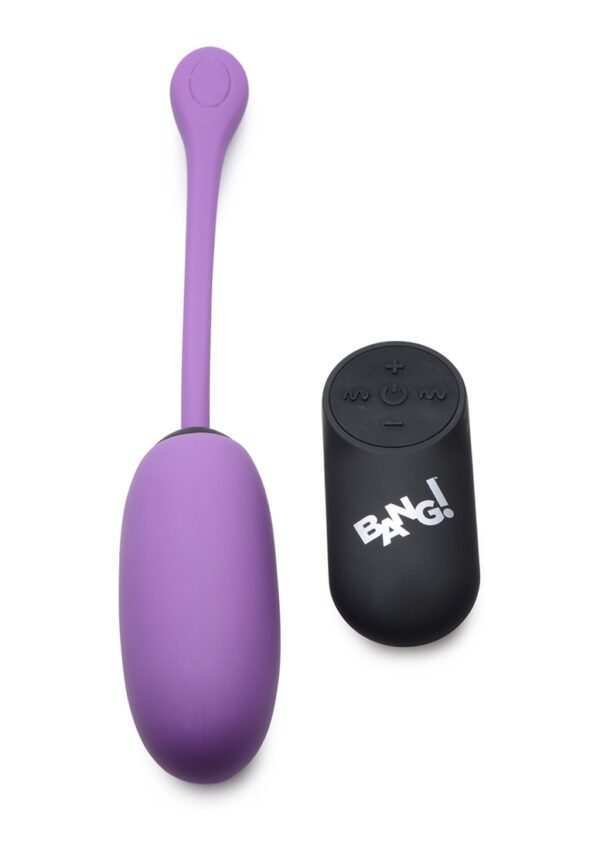 ag590 purple 1.jpg 28X Plush Egg & Remote Control - Purple