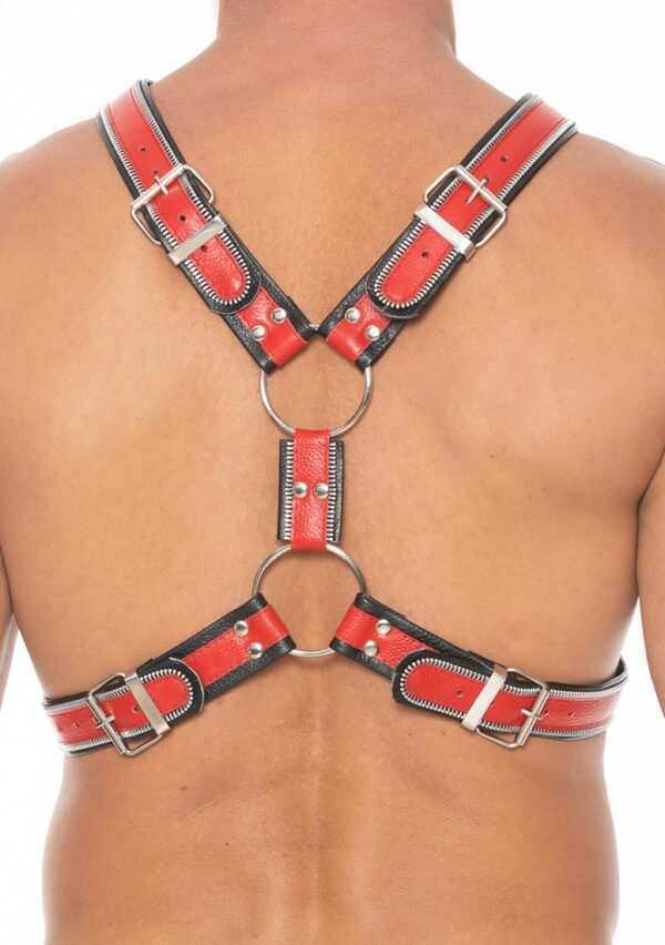 Z Series Scottish Harness - Leather - Black/Red - S/M