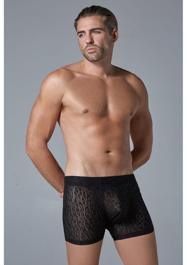 l013 sm 1 1.jpg Leopard Boxer  - Black - S/M