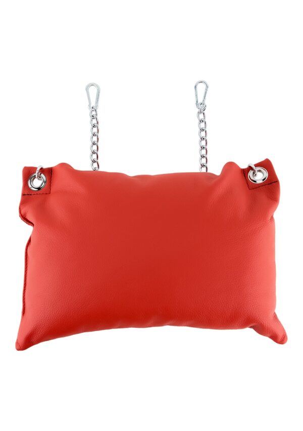 ms31704 1.jpg Leather pillow - Red