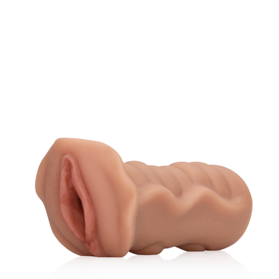 sli222.png sli222.png