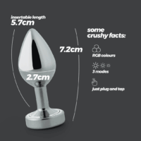 Borealis - Metalen Anale Plug met LED RGB - Klein - Zilver