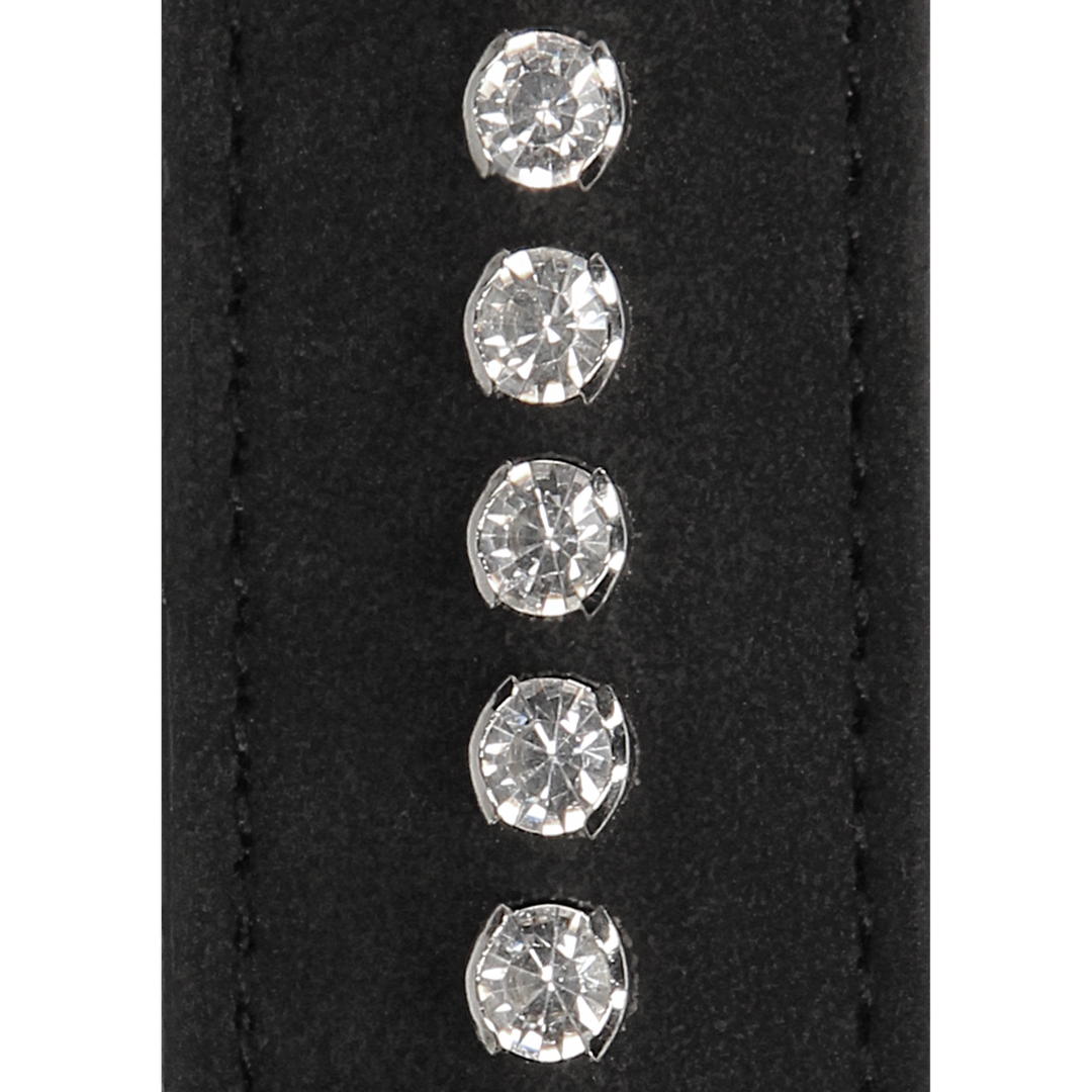 Diamond - Diamanten Studded Whip