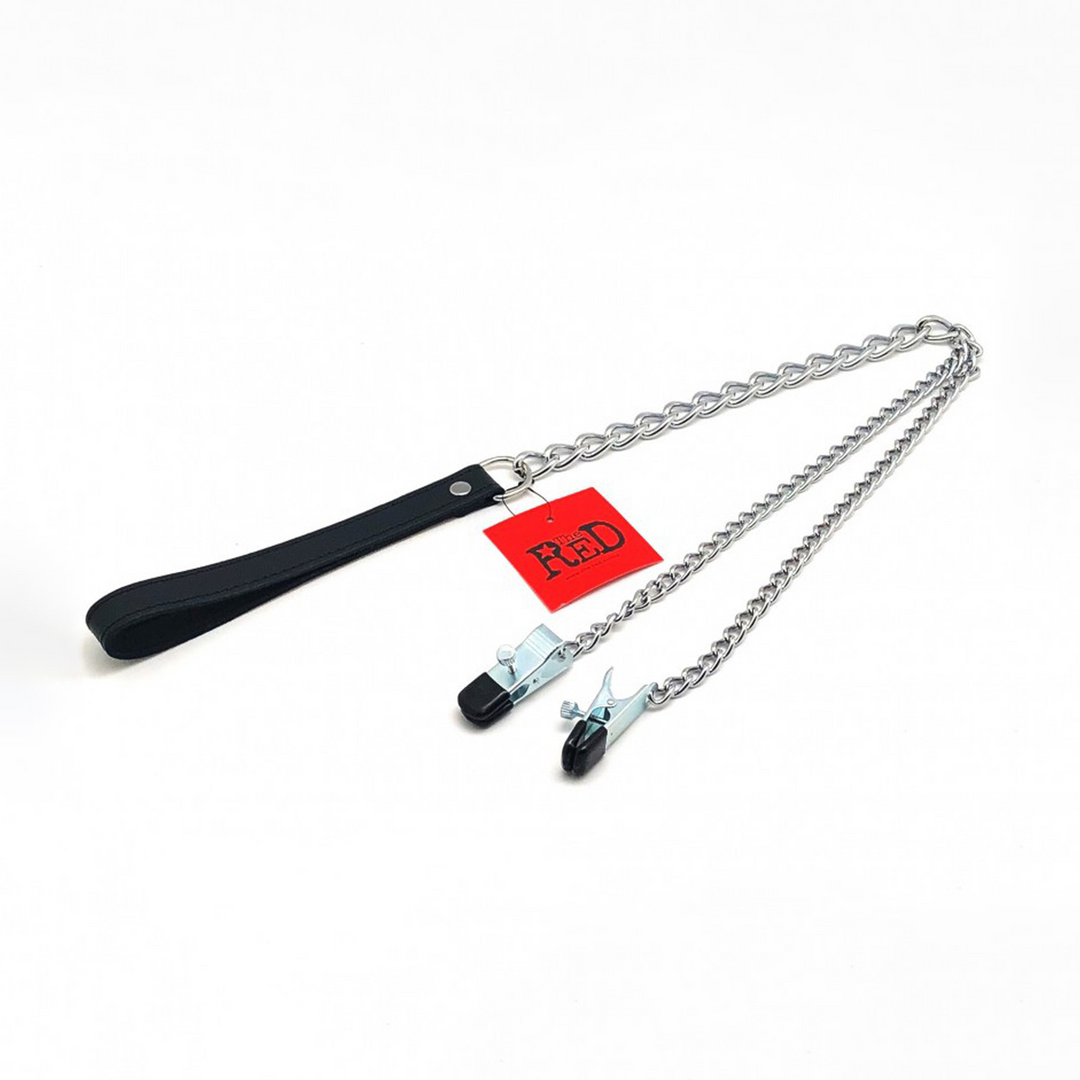 Borstenklemmen en Leash - Zwart/Zilver